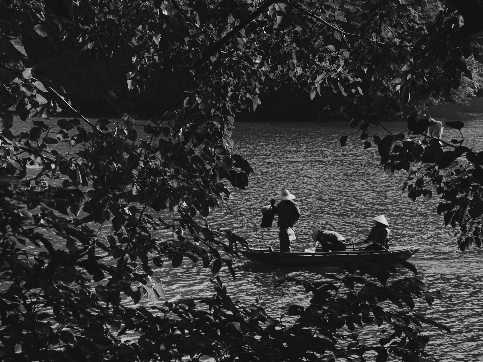 Black and white photograph of a boat with a figure in a conical hat crossing a river, framed by tree branches